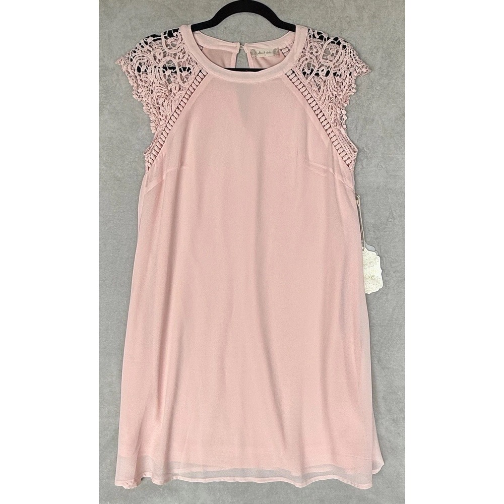 Altar'd State Dress Womens Small Ballet Pink Lace Angelic Ethereal Coquette NWT